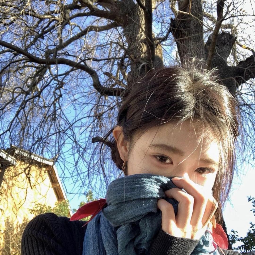 呈达赣南脐橙优选