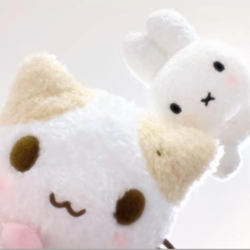 ʚ呆呆ɞ