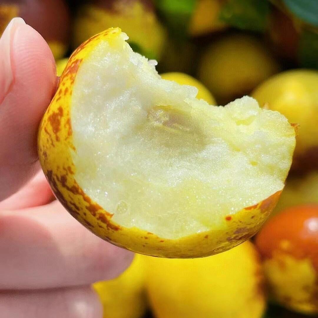 儒亿源食品工厂店零售店