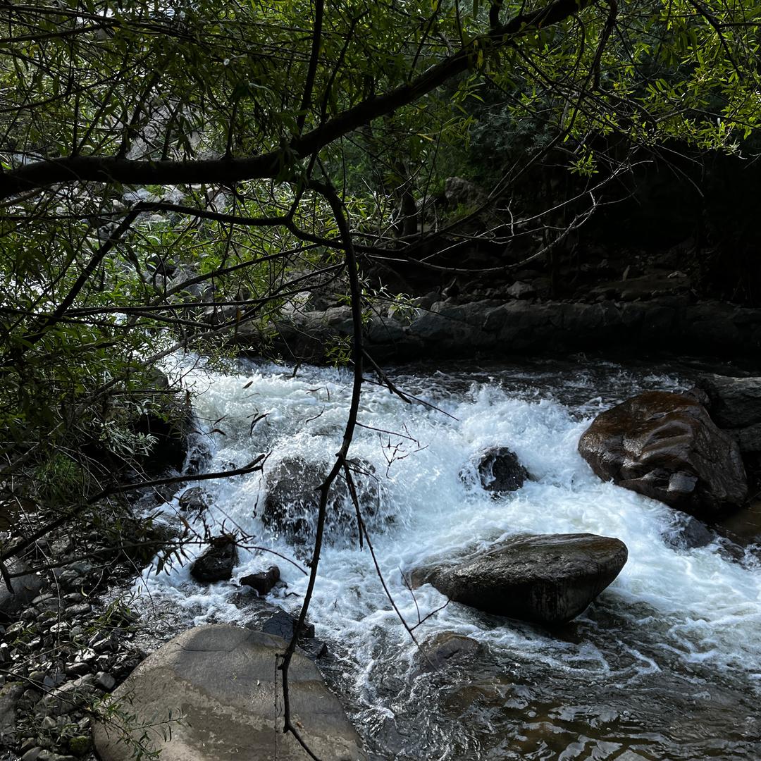 TANQIU