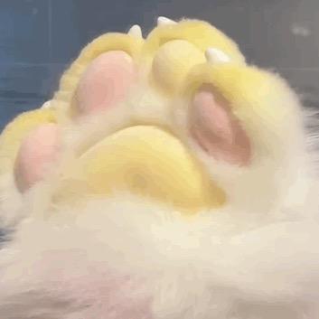 海上月