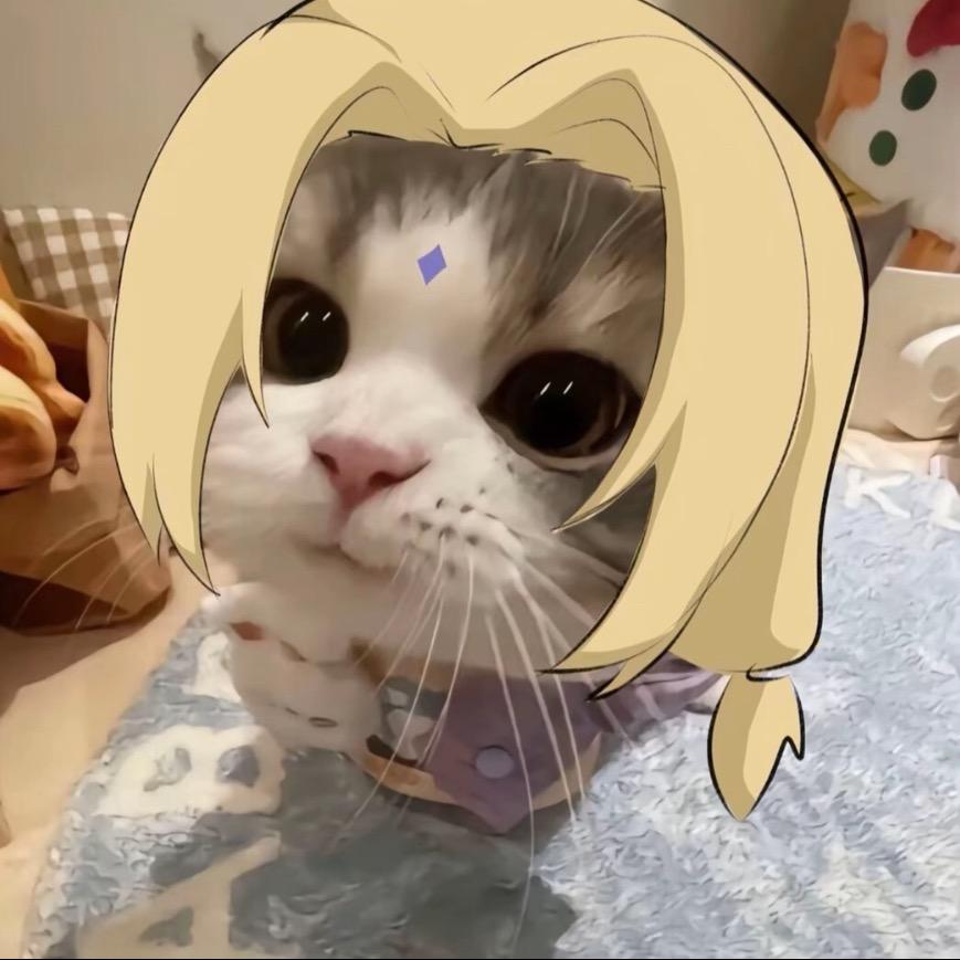 无敌小猫