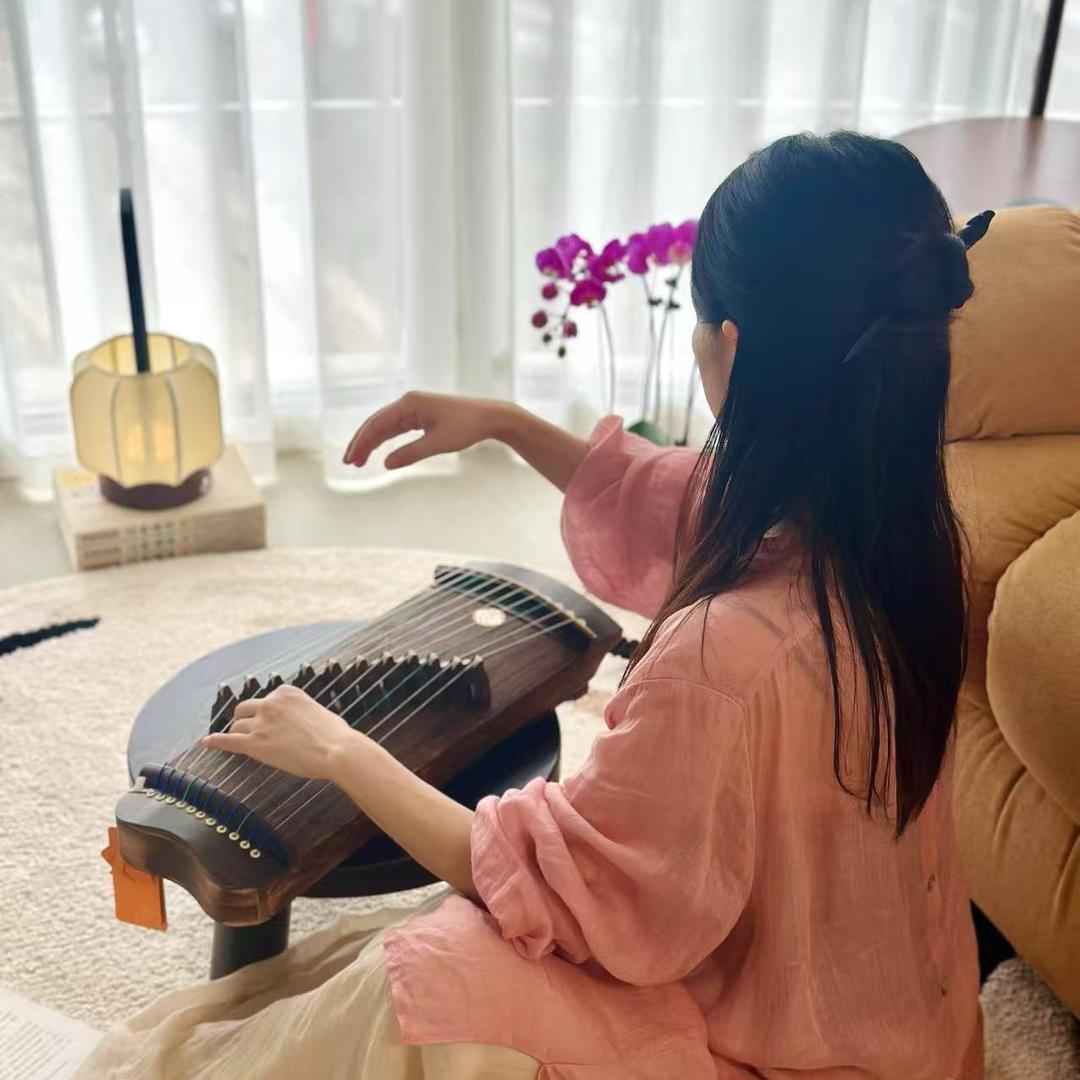 古筝丸子成长记