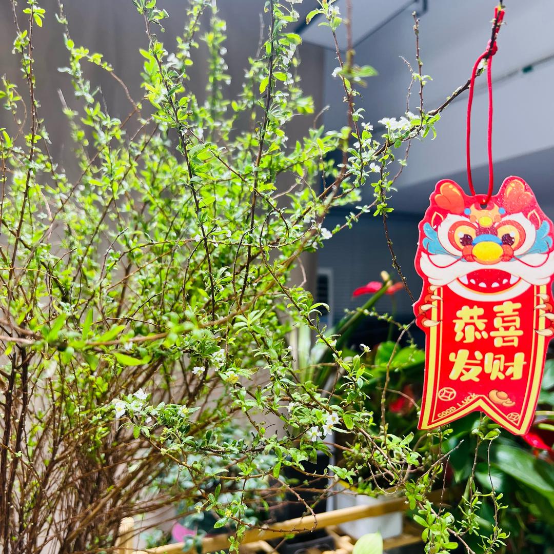 拾裡蘭花汇