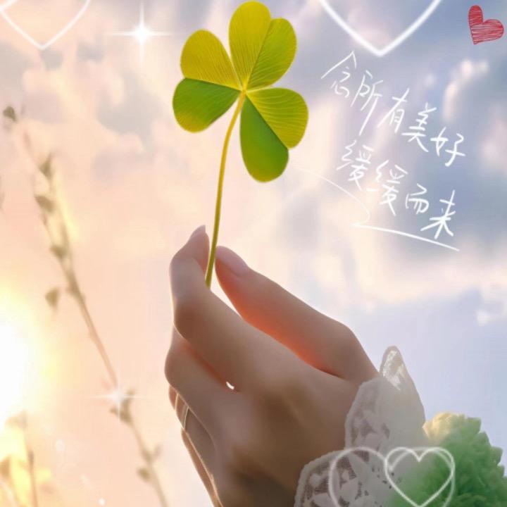 🍒苓三三 💞࿐