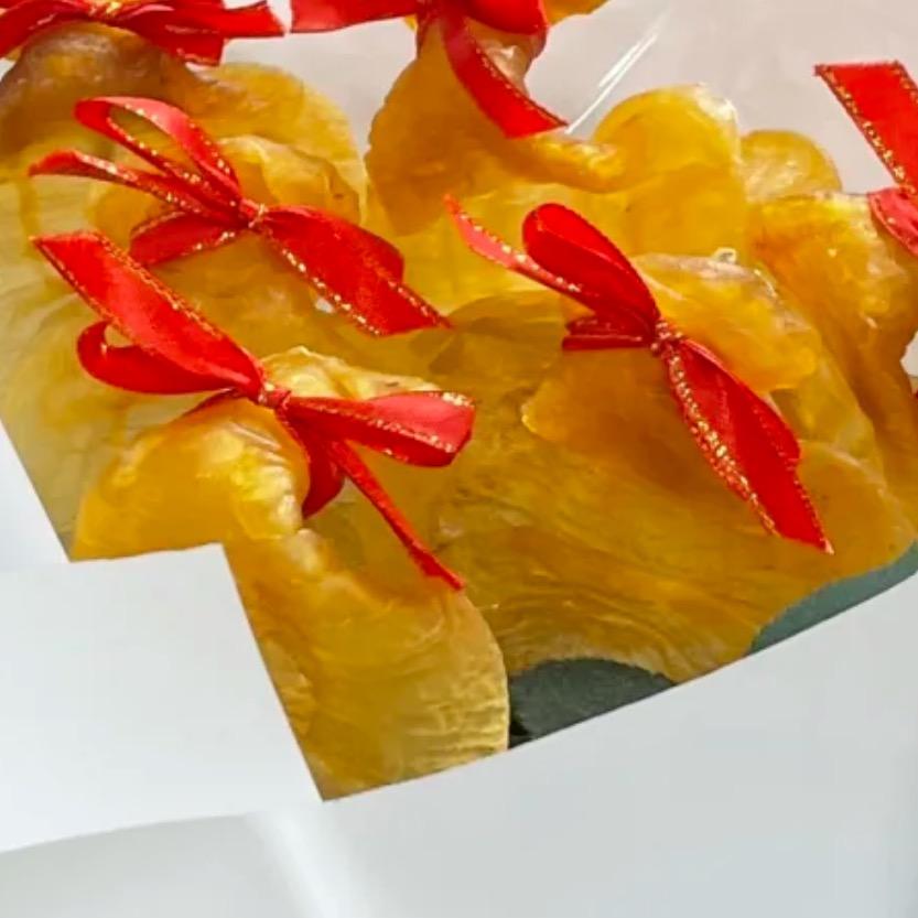 海晟品鱼胶加工厂🏭