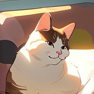 毛毛吃肉肉