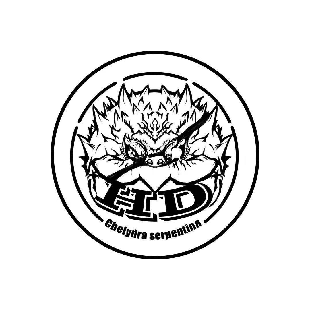 HD-海盗
