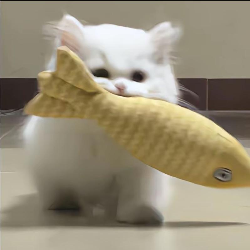 🥖面包胚