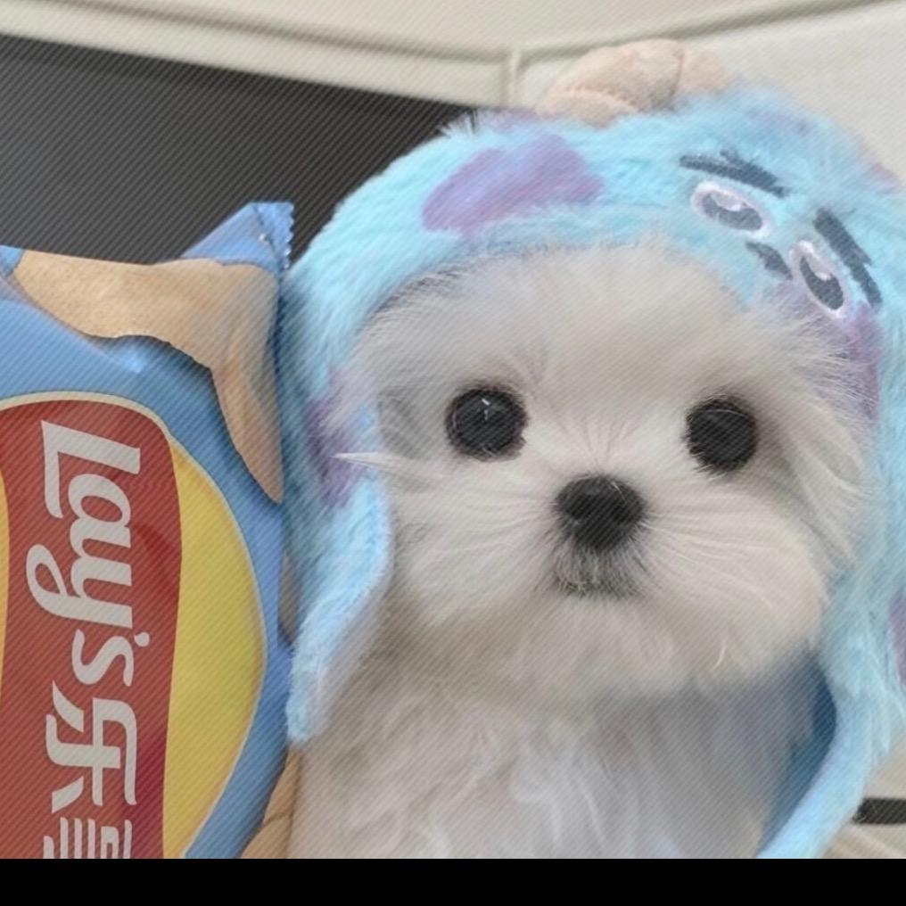 万事如艺