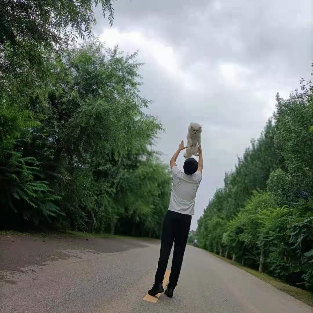 清晨拉了