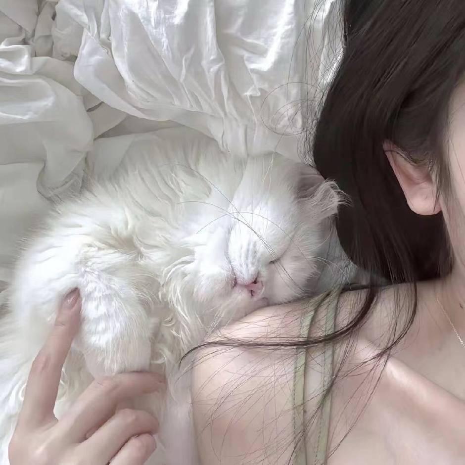 诗诗呀
