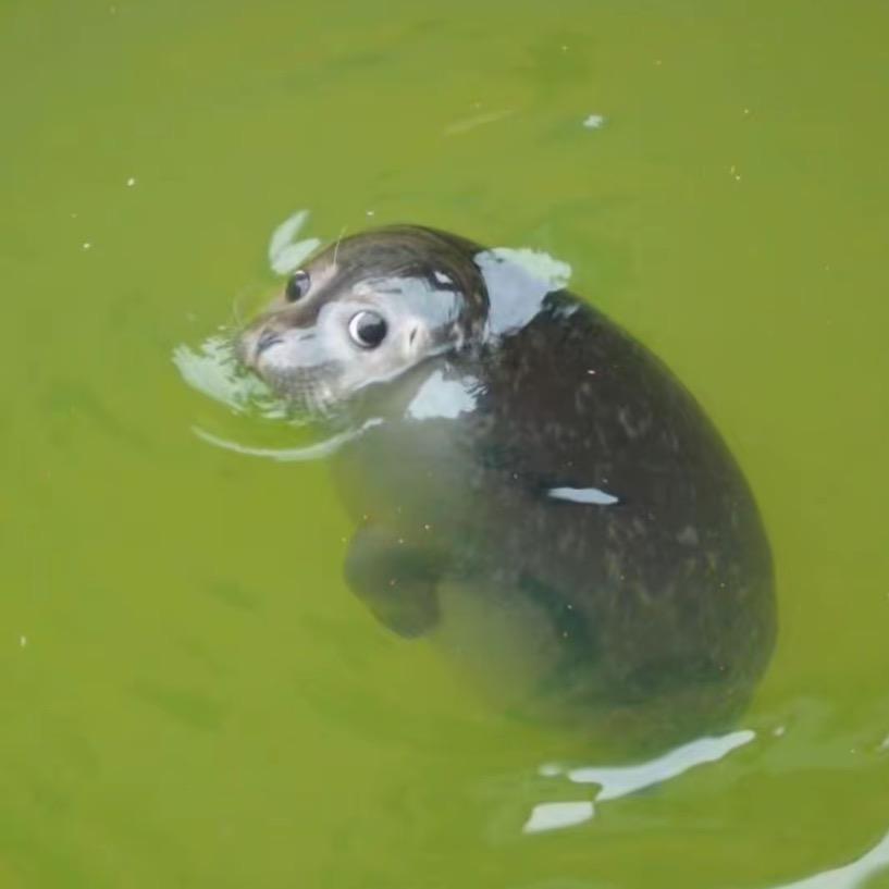 哭晕在厕所