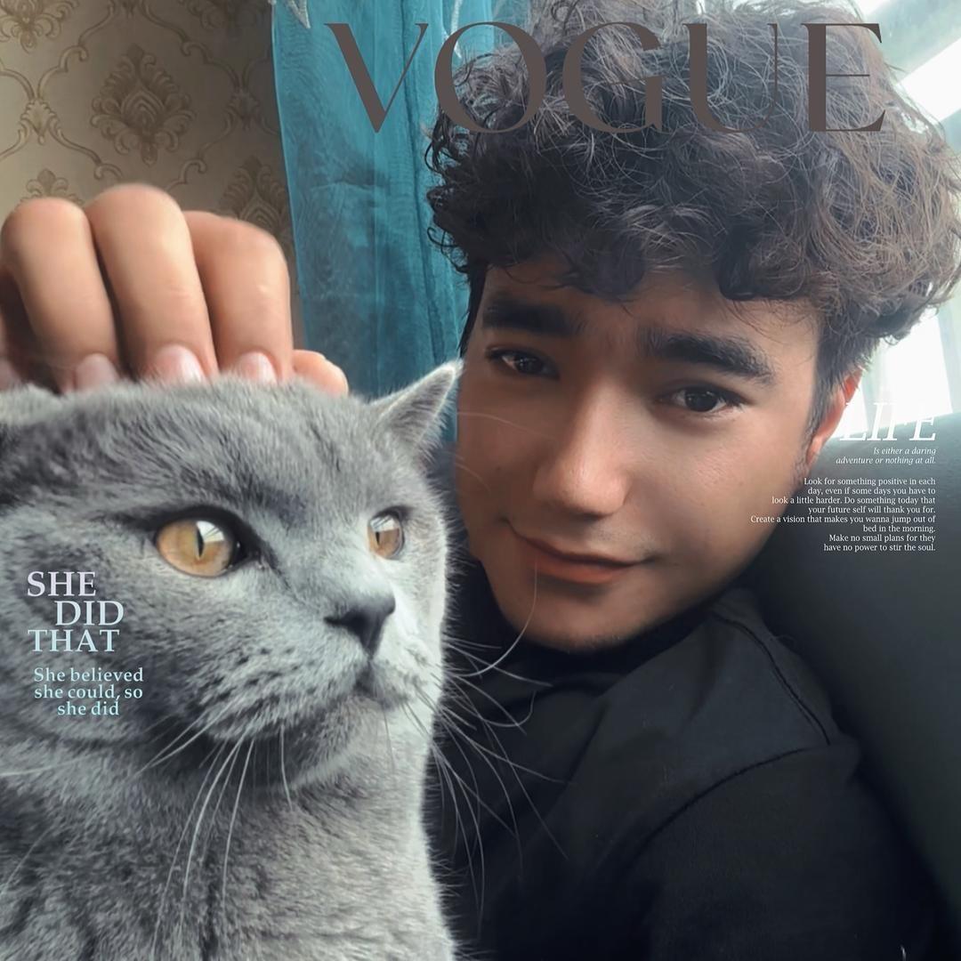 蓝猫工作室