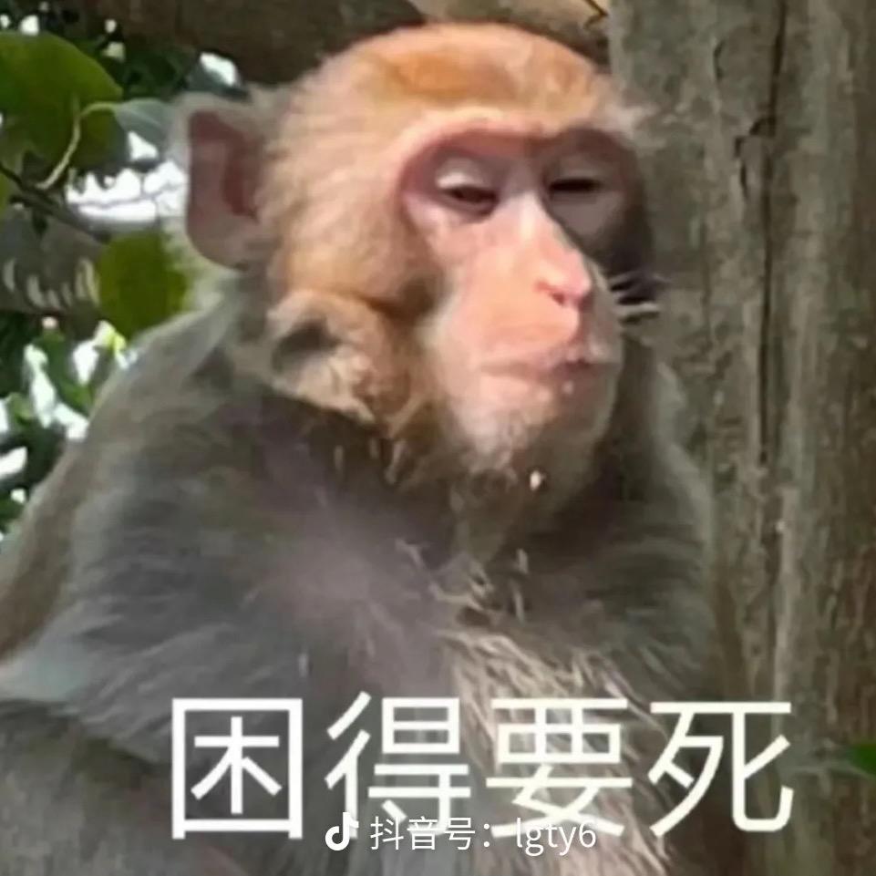 小雪梨🍐