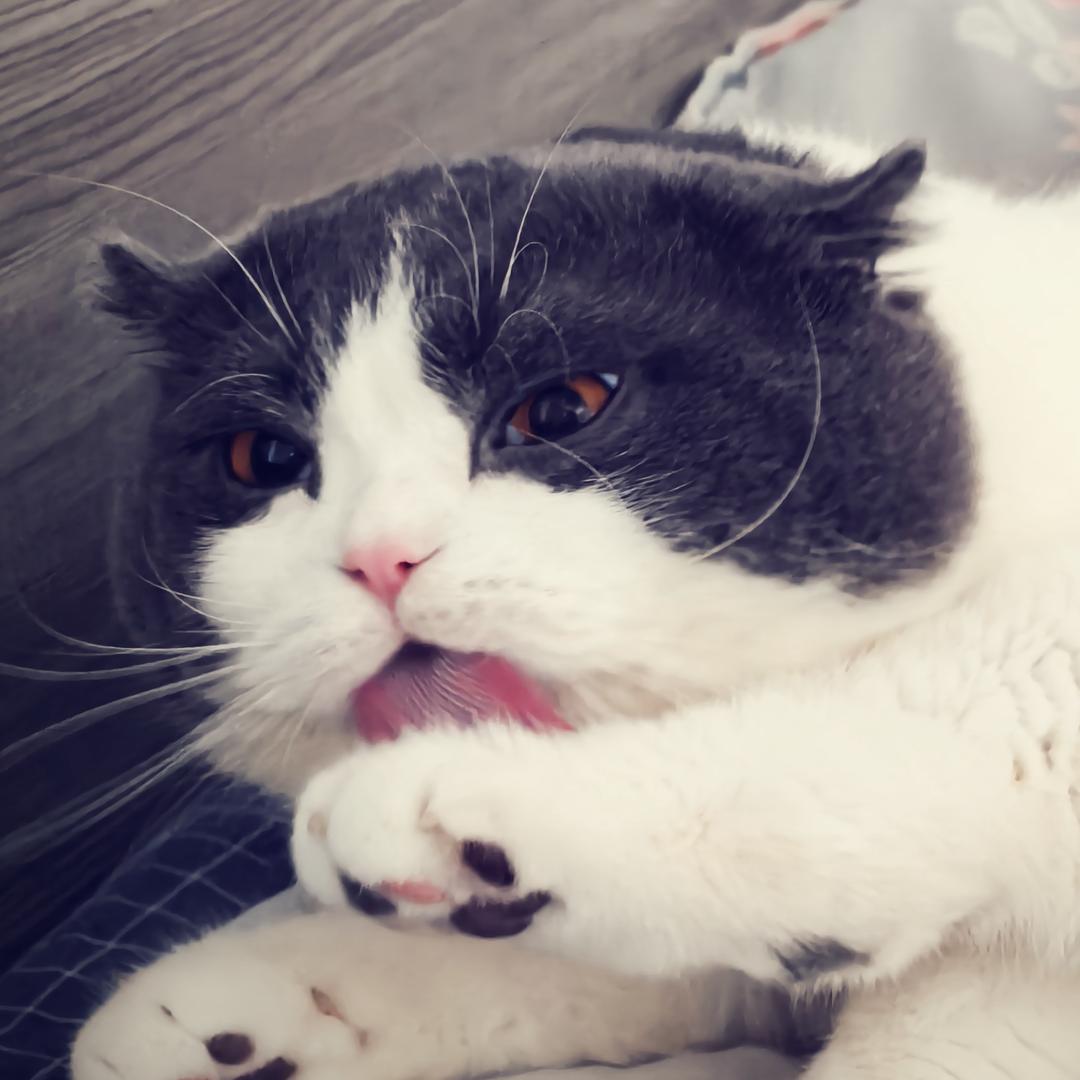 楠-