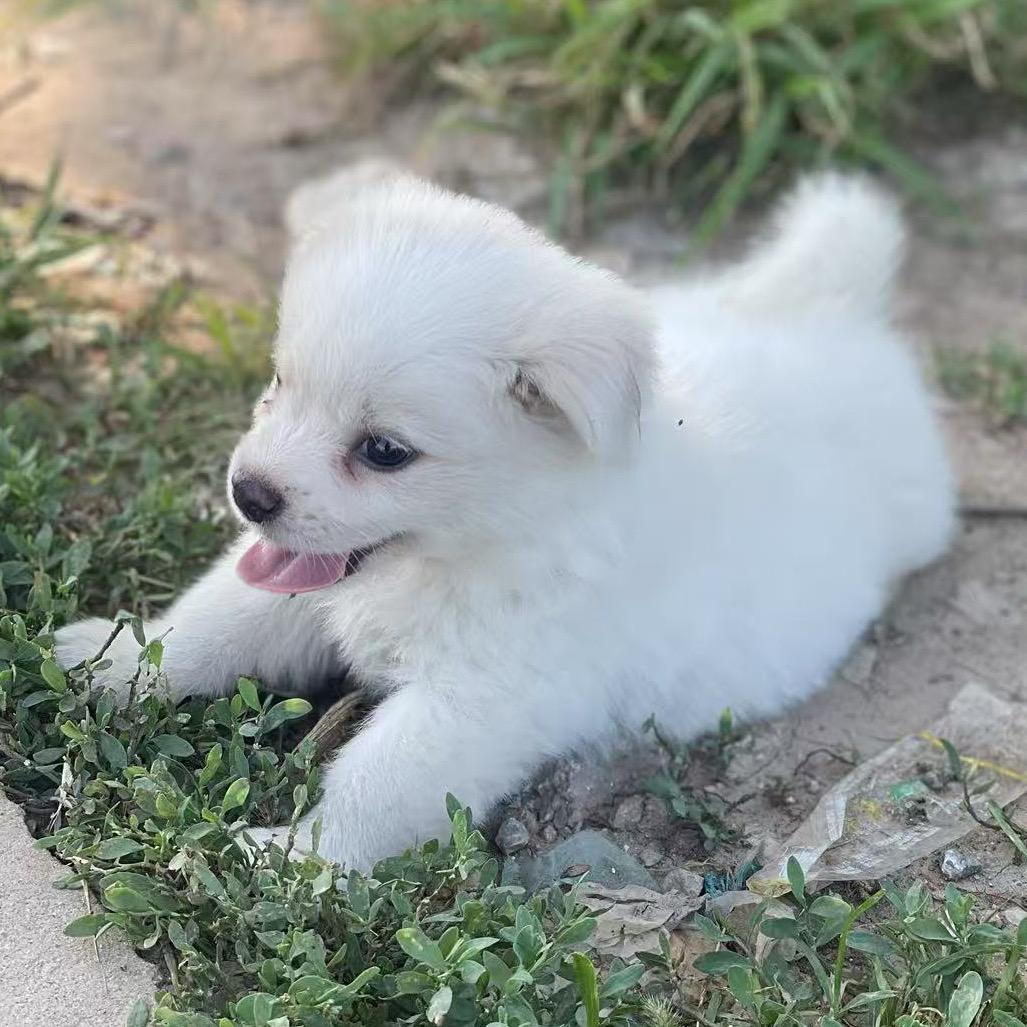 ████████