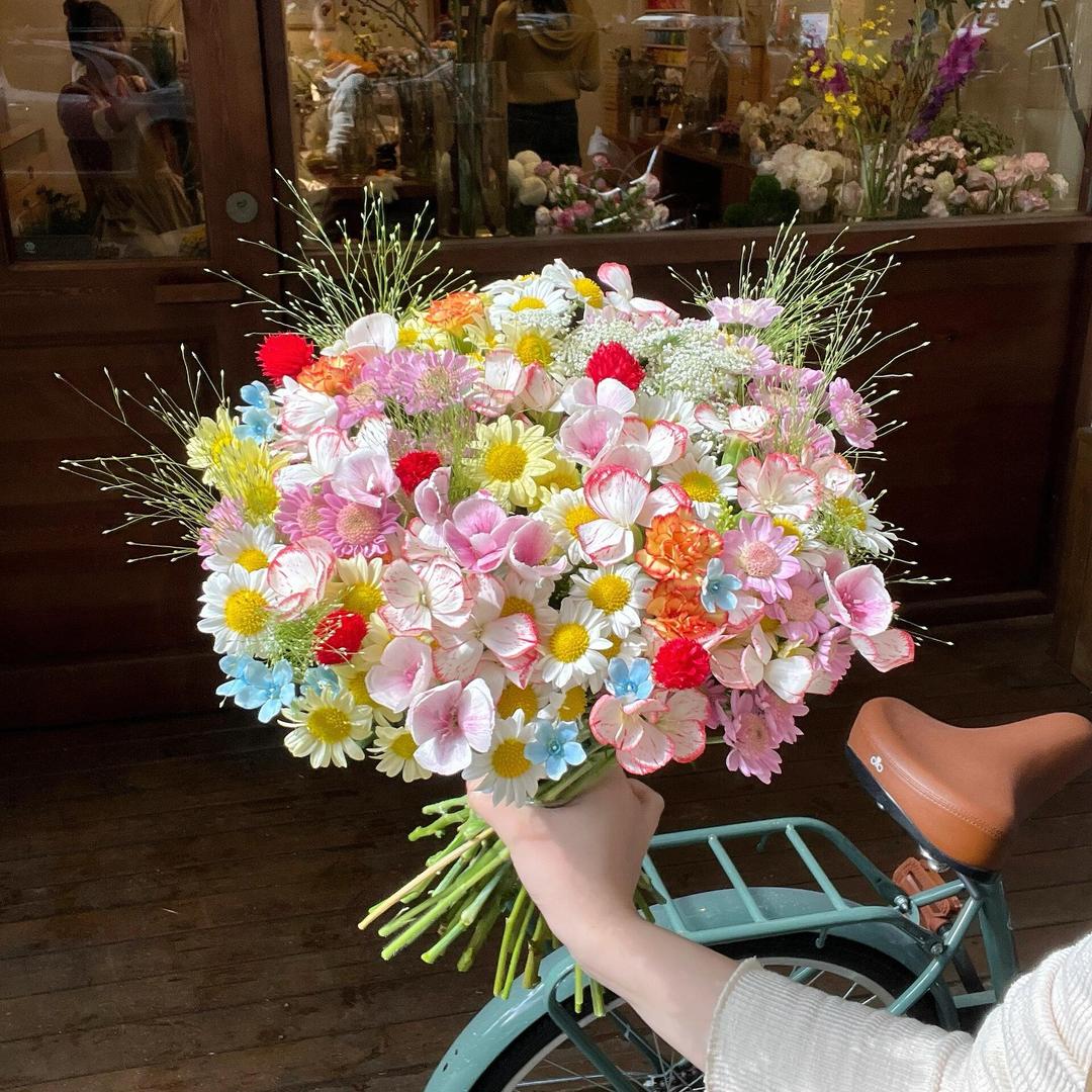 一路生花💐