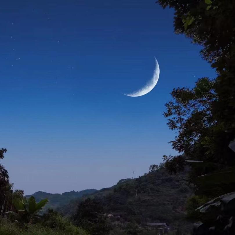 斯文败类