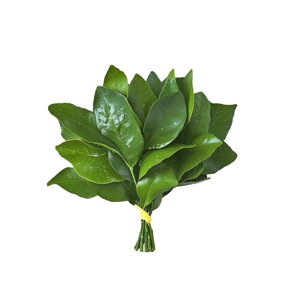 是莉莉呢-