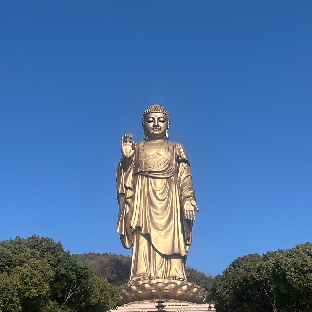 Bella 贝拉