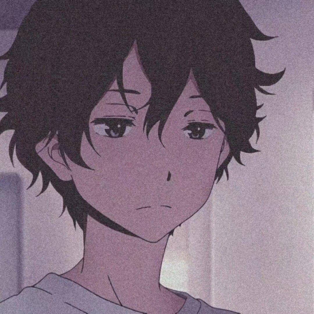 被骗的狗