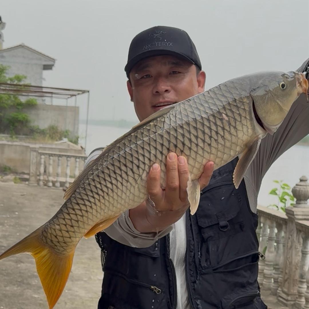 麦子钓鱼(野河探秘)