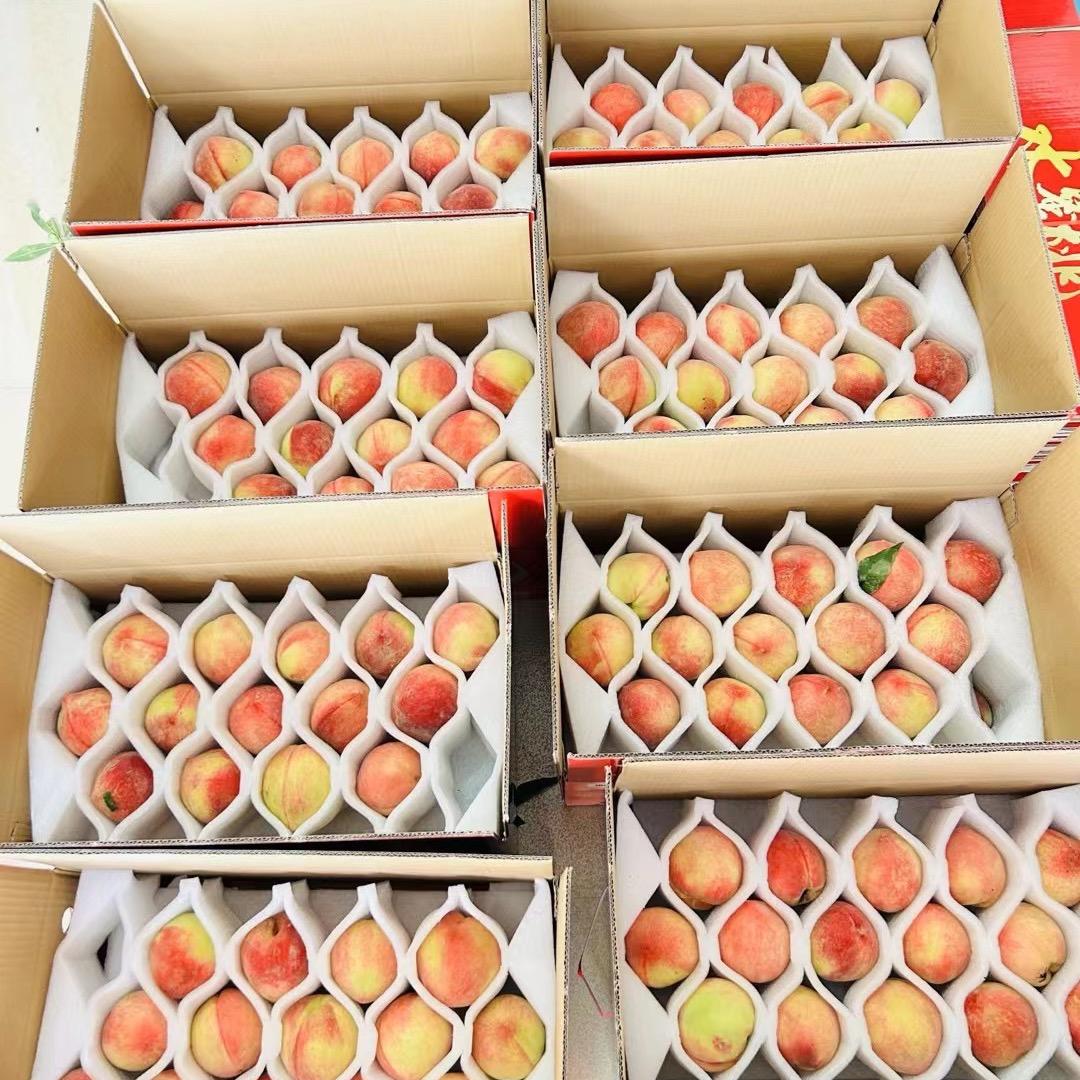 官洲白凤桃 李子 小郑