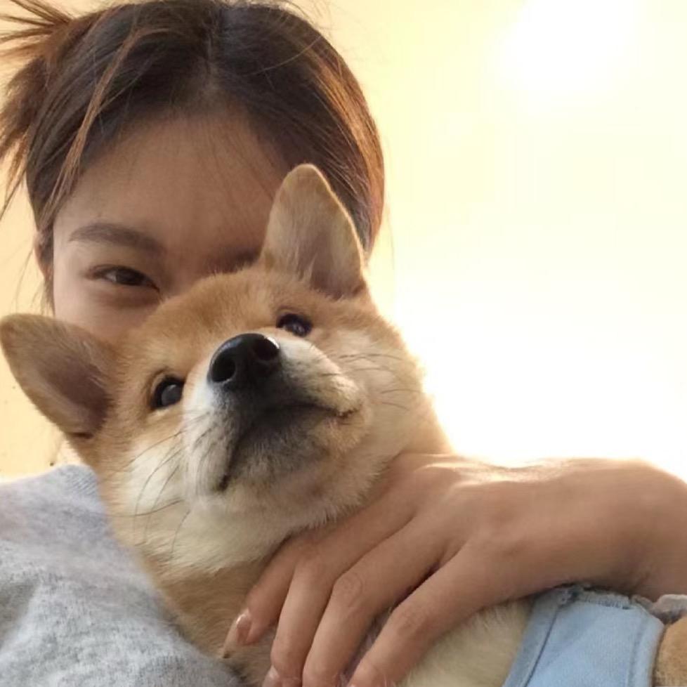 今天也好困💤