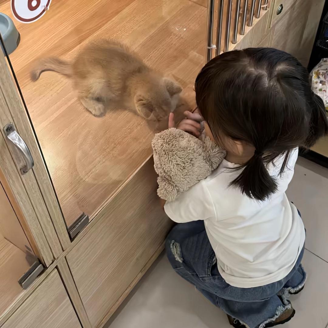 ㅤ￴￴ ￴ ￴ ￴ ￴ ￴ ￴￴ ￴ ￴