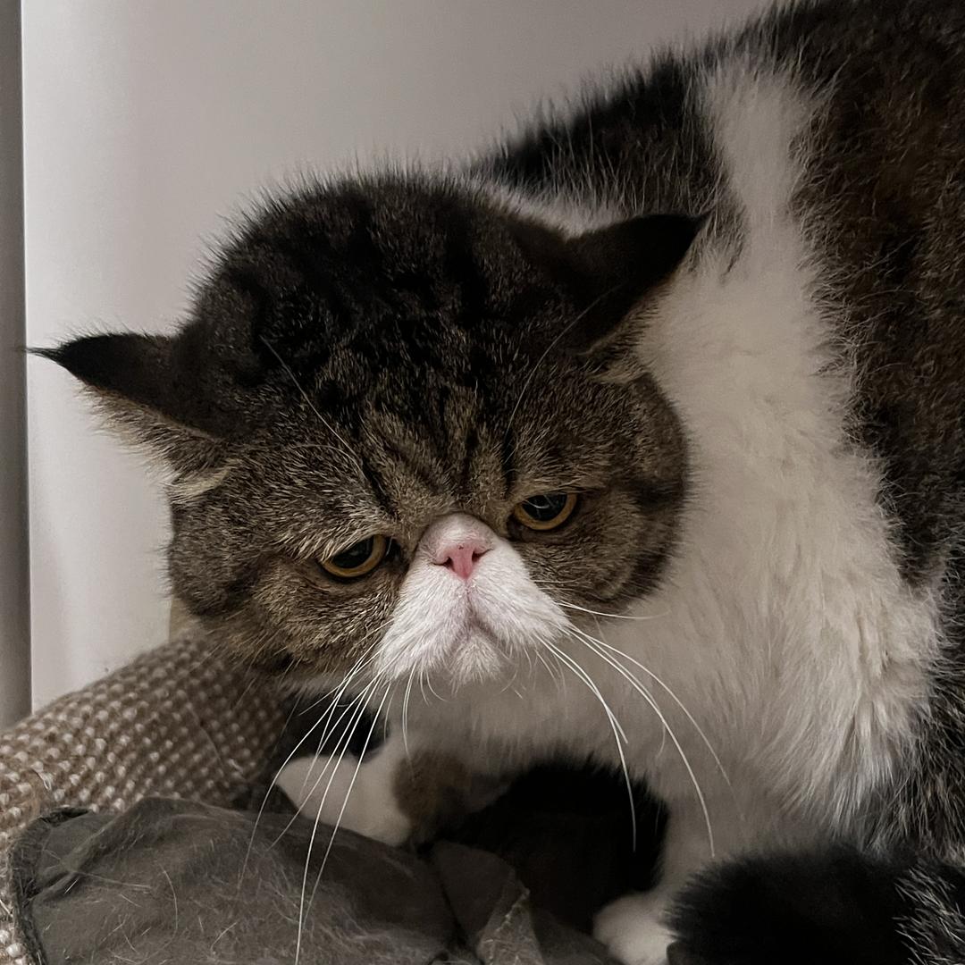 东亿华文化传媒