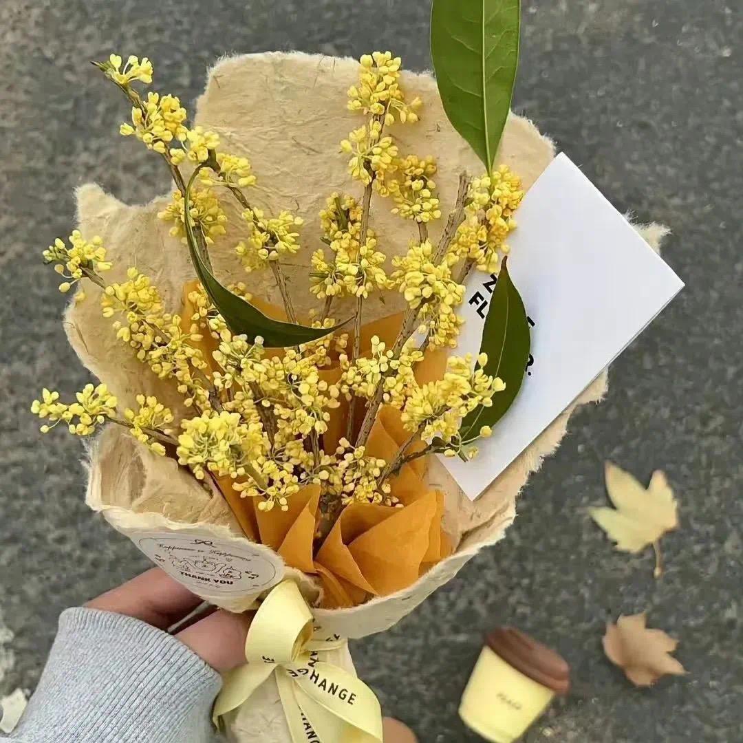 死倔死倔的火象射手