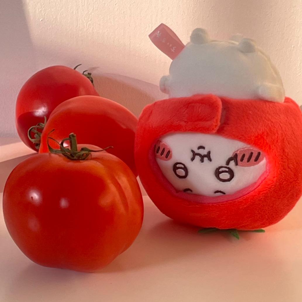 小番茄