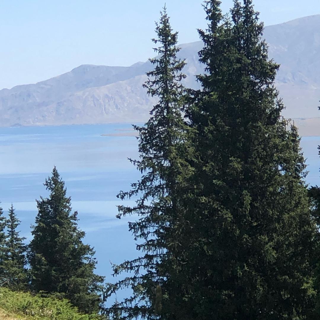 闲下来的餐饮人