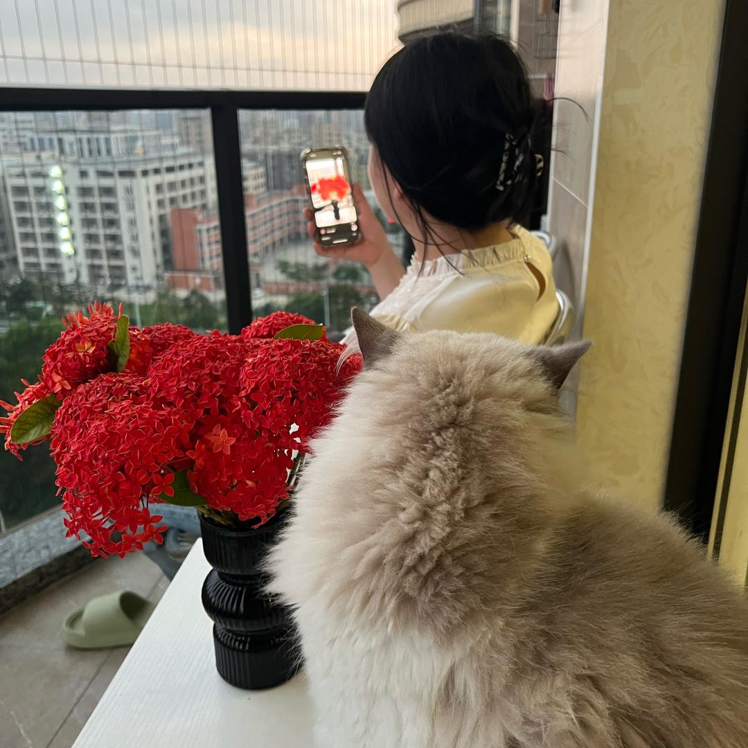 林姐