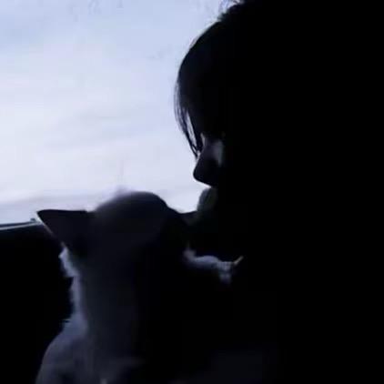 情绪总在心尖上