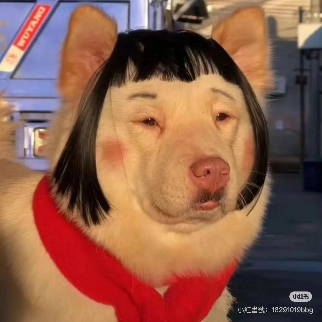 实况不要钱