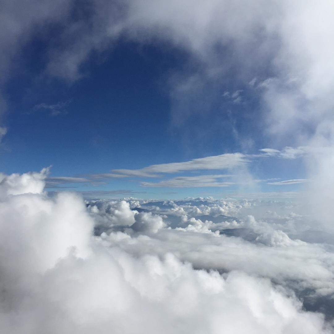 🍎🍏🍇🍑🍅心向自由