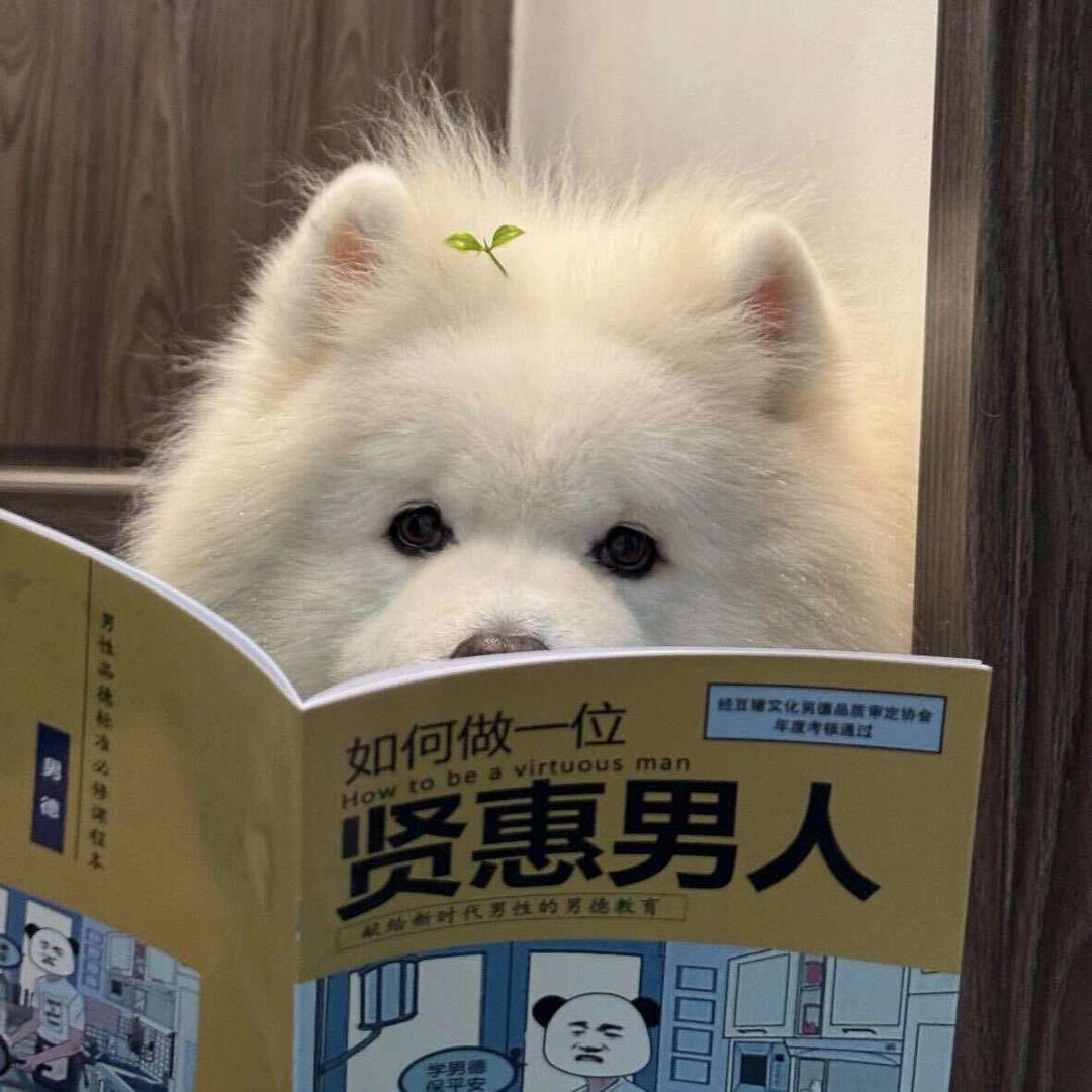 午白拆卡-加油版
