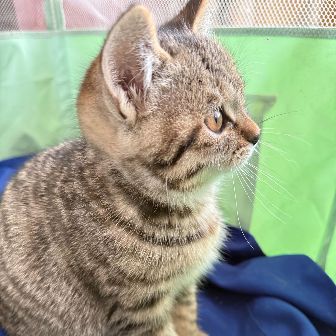 荔浦市桔好年农资经营部