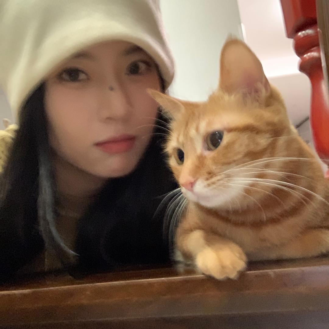小新：