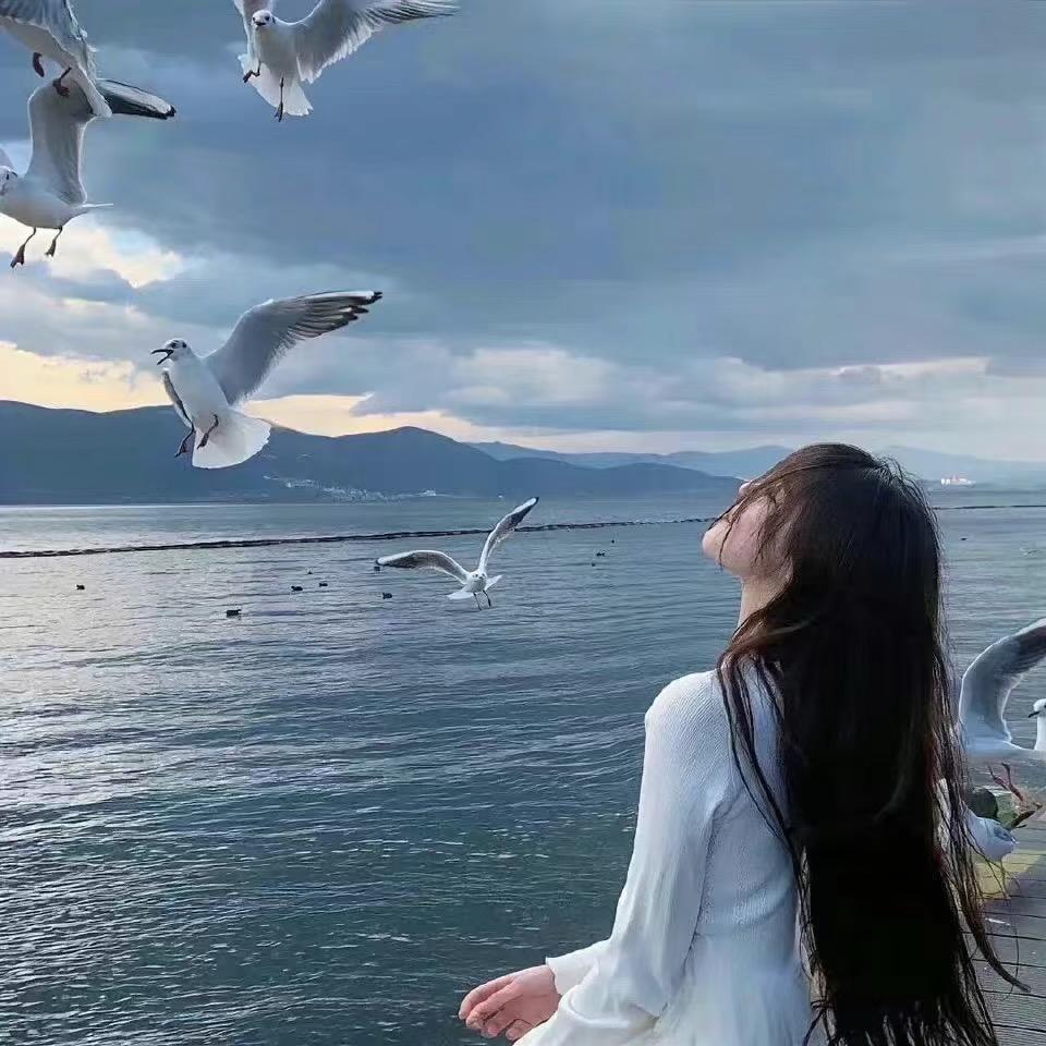 妮好 ꪔ̤̫