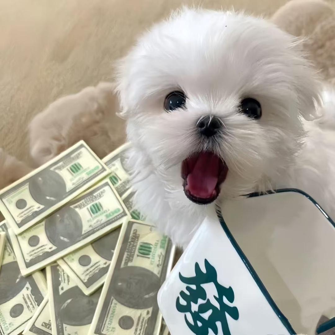 旺仔’
