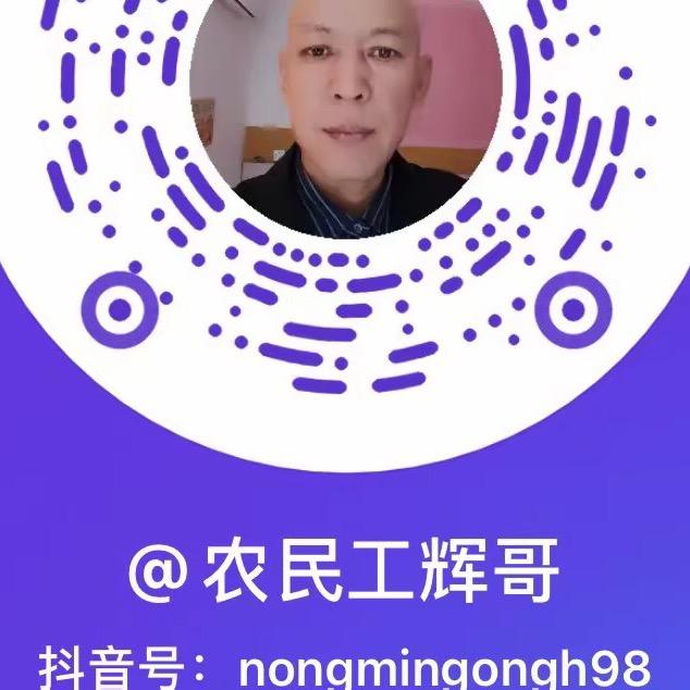 农民工辉哥