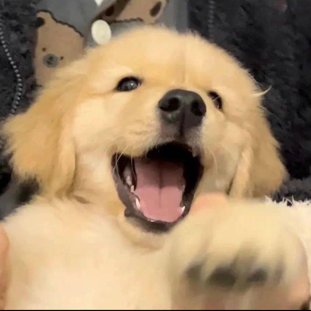 79