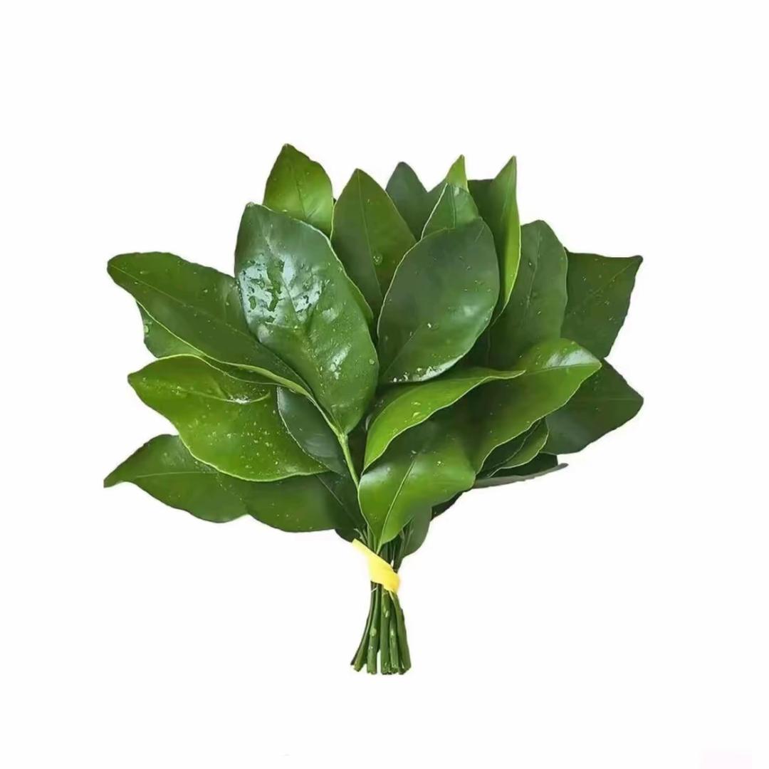 不悲伤
