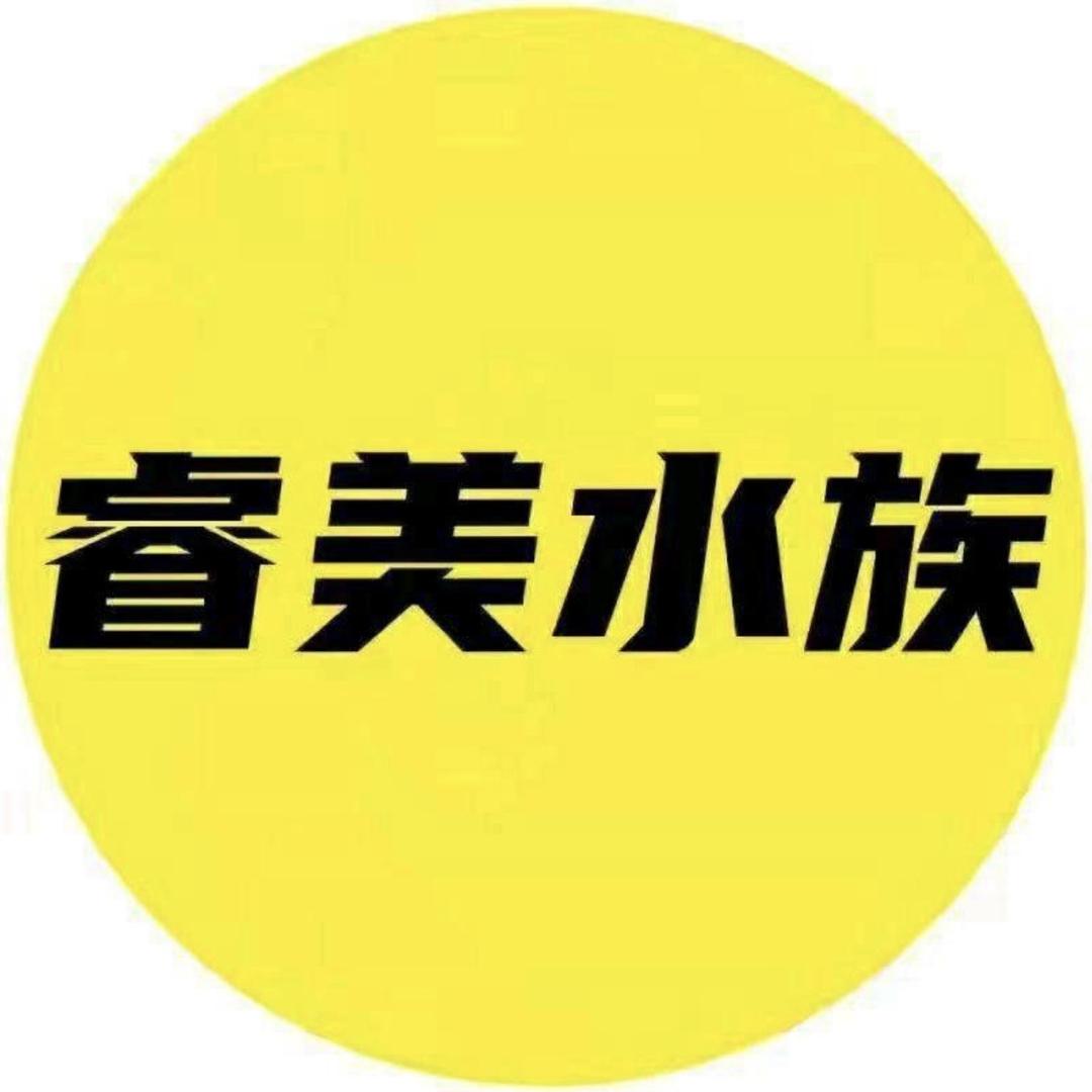 睿美水族工厂店