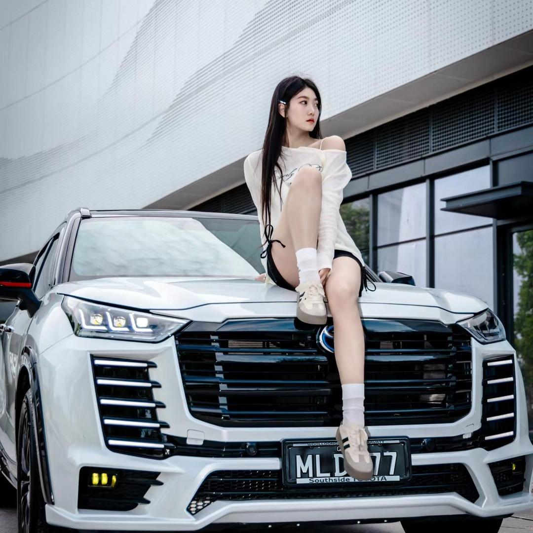 玩汉兰达和陆放的晏子