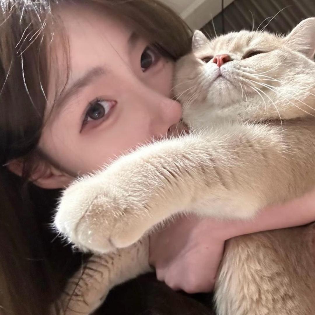 小杨不会咩