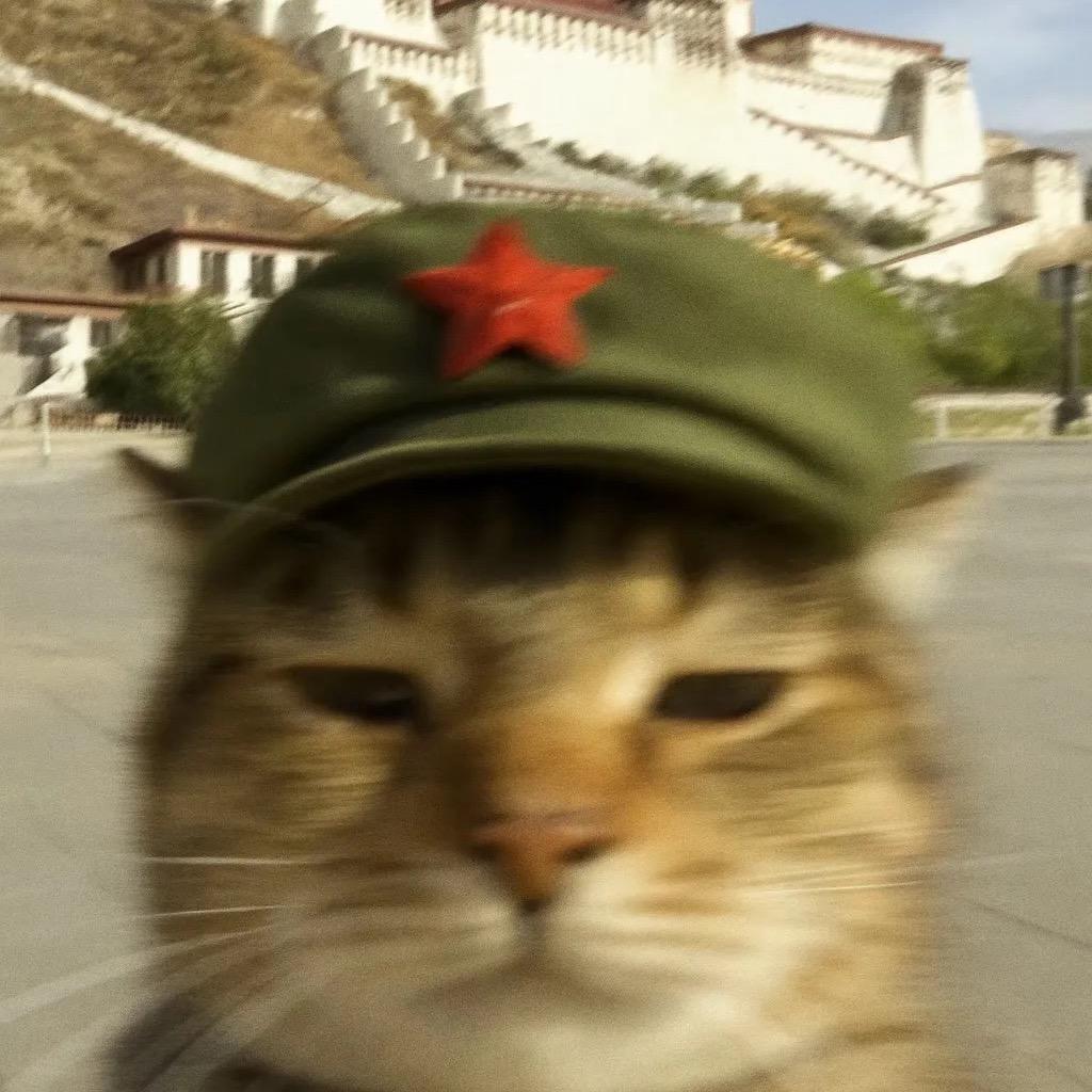 直织星（典型安卓区）